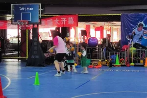 儿童篮球训练营一般多少钱